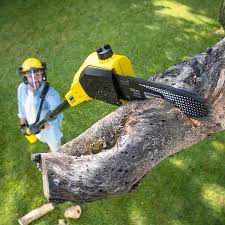 Best Commercial Tree Services  in Steele, AL