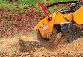 Best Tree and Shrub Care  in Steele, AL